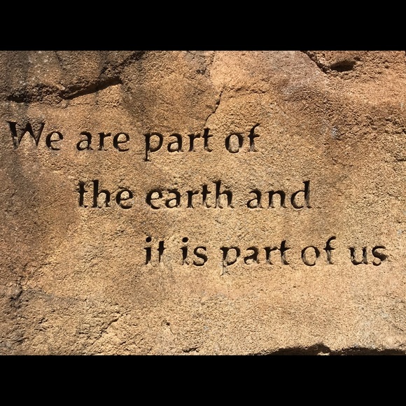 Meet your Posher, Tara - Picture 1 of 1